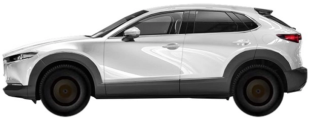 DM SUV (2020-2021)